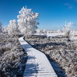 Hohes Venn im Winter im Schnee