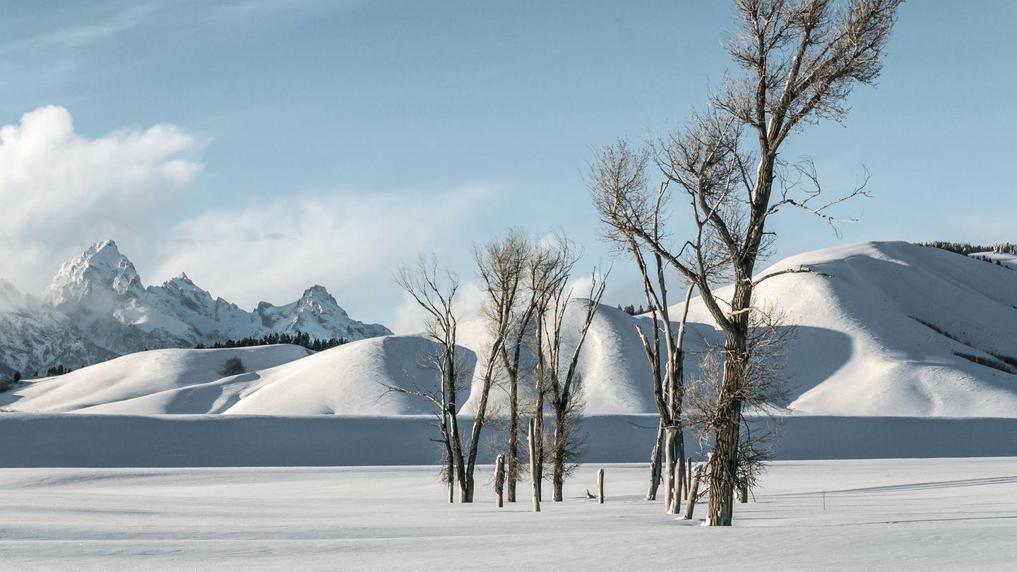 18.01.2022      Ort: Grand Teton Nationalpark, Wyoming  Kamera: Canon 70D + Kitobjektiv 18-55mm Kein Stativ, Polfilter  Mehr Fotos von seahorse