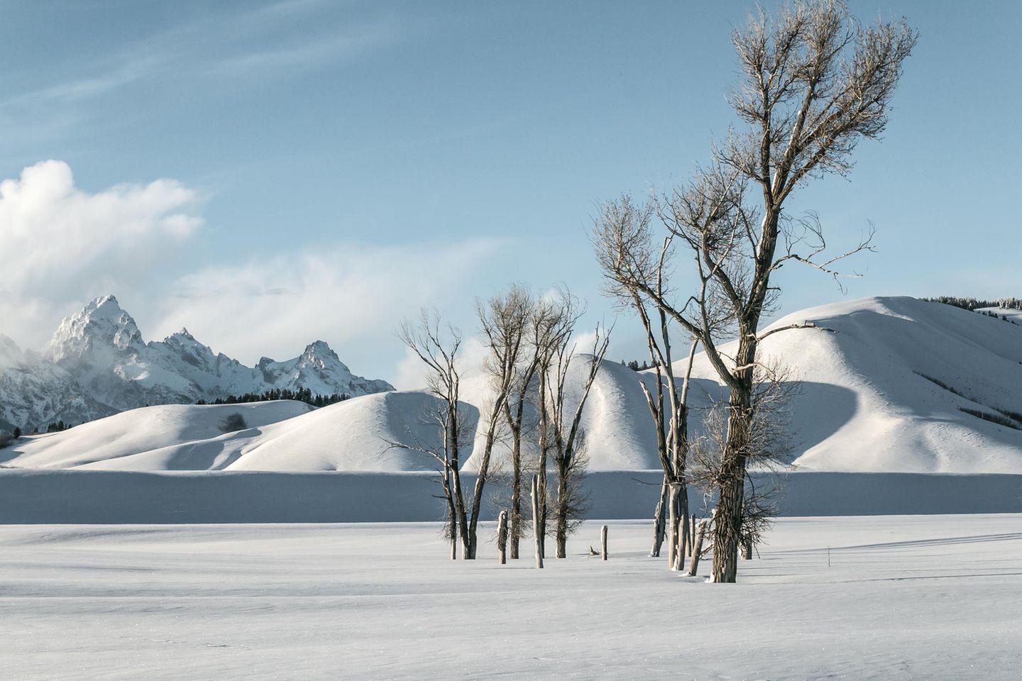18.01.2022      Ort: Grand Teton Nationalpark, Wyoming  Kamera: Canon 70D + Kitobjektiv 18-55mm Kein Stativ, Polfilter  Mehr Fotos von seahorse