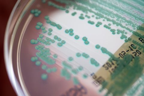 MRSA