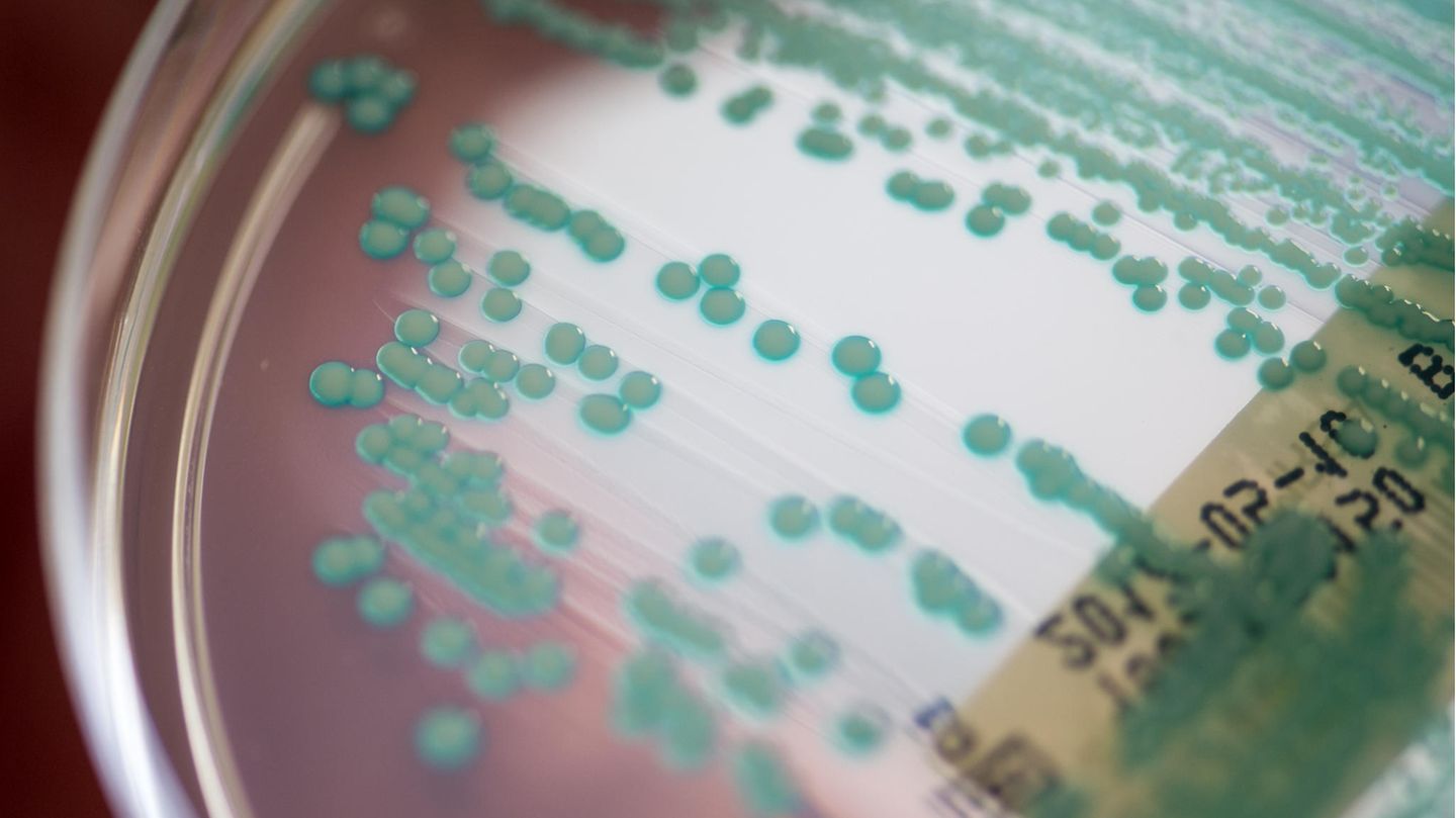 MRSA