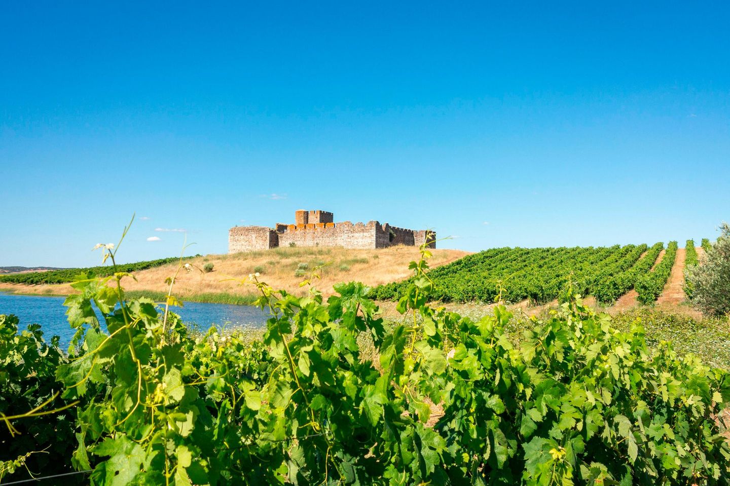 Alentejo, Portugal Das Schloss Valongo in der Weinbauregion Alentejo