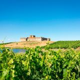Das Schloss Valongo in der Weinbauregion Alentejo