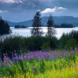 Omne-Fjord in der Region Höga Kusten