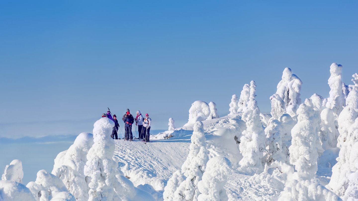 Für wen lohnt sich der Besuch besonders? Wandergruppe im Koli Nationalpark im Winter