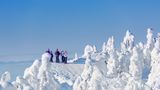 Wandergruppe im Koli Nationalpark im Winter