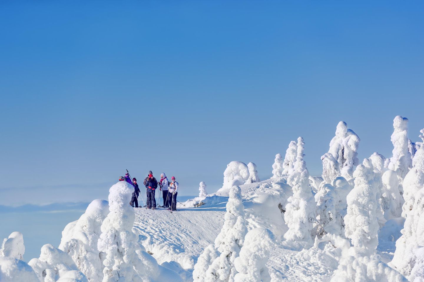 Für wen lohnt sich der Besuch besonders? Wandergruppe im Koli Nationalpark im Winter