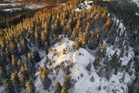 Ansicht aus der Luft auf den Ukko Koli