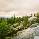 Koli Berge in Finnland