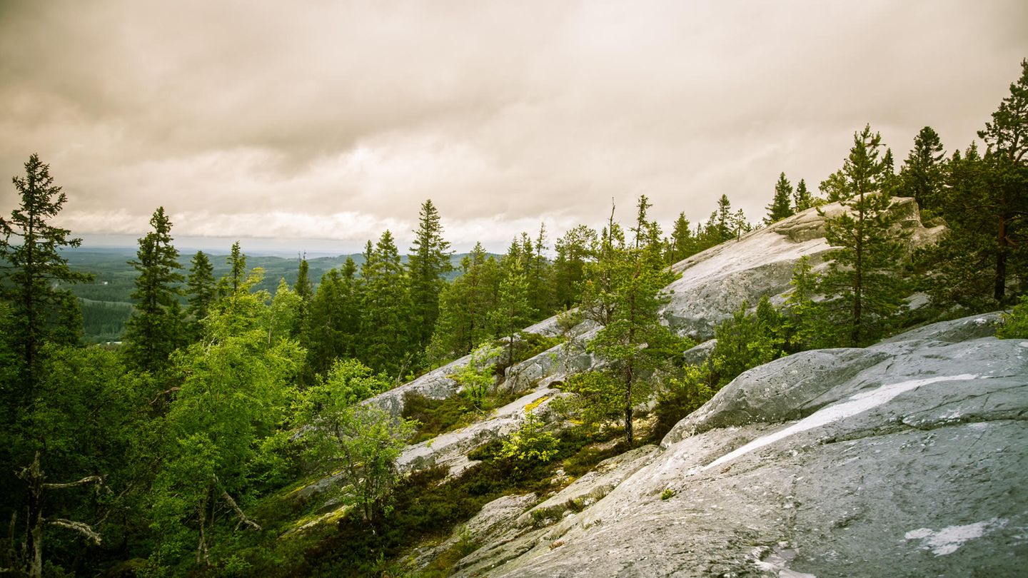 Koli Berge in Finnland