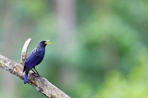 Justiz: Welche Rechte braucht die Natur?