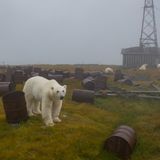 „Die russische Arktis ist eine extrem schöne Parallelwelt. Aber leider ist diese Welt voller Müll. Das ist ein bekanntes Problem – zum Beispiel gibt es rund 12 Millionen verlassene Treibstofffässer, die entlang der Küste verstreut sind. In der Sowjetzeit brachten sie die Fässer, nachdem der Brennstoff verbraucht war, warfen sie überall Fässer ab“ schreibt der russische Fotograf auf Instagram. „Soweit ich weiß, versucht unsere Regierung, ein Reinigungsprogramm zu starten. Ich hoffe, es wird eine Lösung gefunden.“
