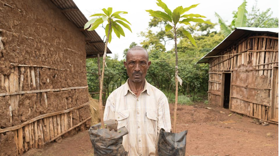 Der Kleinbauer Alemayehu Haile, 57, freut sich über zehn veredelte Avocado-Setzlinge. Er lebt mit seiner Frau und acht Kindern in Kuti, einem Dorf der Region Kaffa. Auf 1900 Meter Höhe in einer regenreichen Gegend werden die Bäume gut gedeihen und in drei Jahren eine erste Ernte liefern