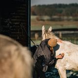 Striegeln nötig: In Schönermark stehen die Pferde das ganze Jahr über auf der Weide