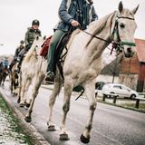 Ungewöhnliche Verkehrsteilnehmer: im Schritttempo die Dorfstraße entlang