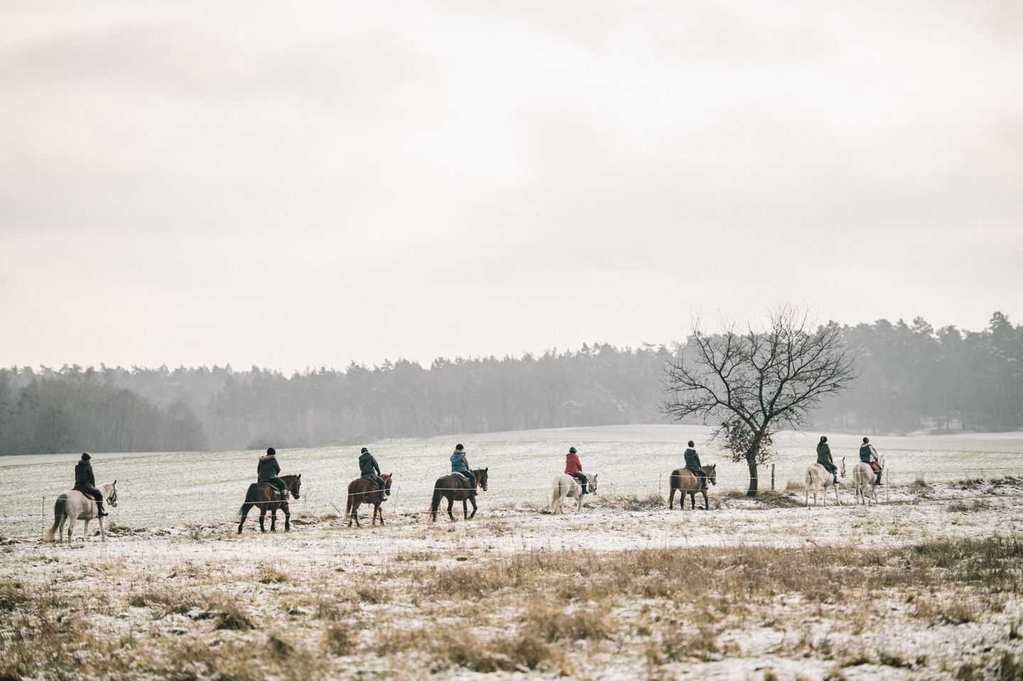 Die Rittführerin und ihr Pferd haben beim Wanderreiten das Kommando