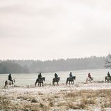 Die Rittführerin und ihr Pferd haben beim Wanderreiten das Kommando