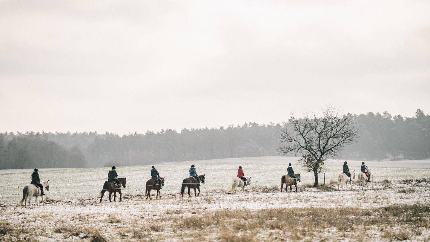 Die Rittführerin und ihr Pferd haben beim Wanderreiten das Kommando