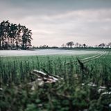 Bei eisigen Temperaturen frieren die Zehen nach drei Stunden reiten schon mal ein