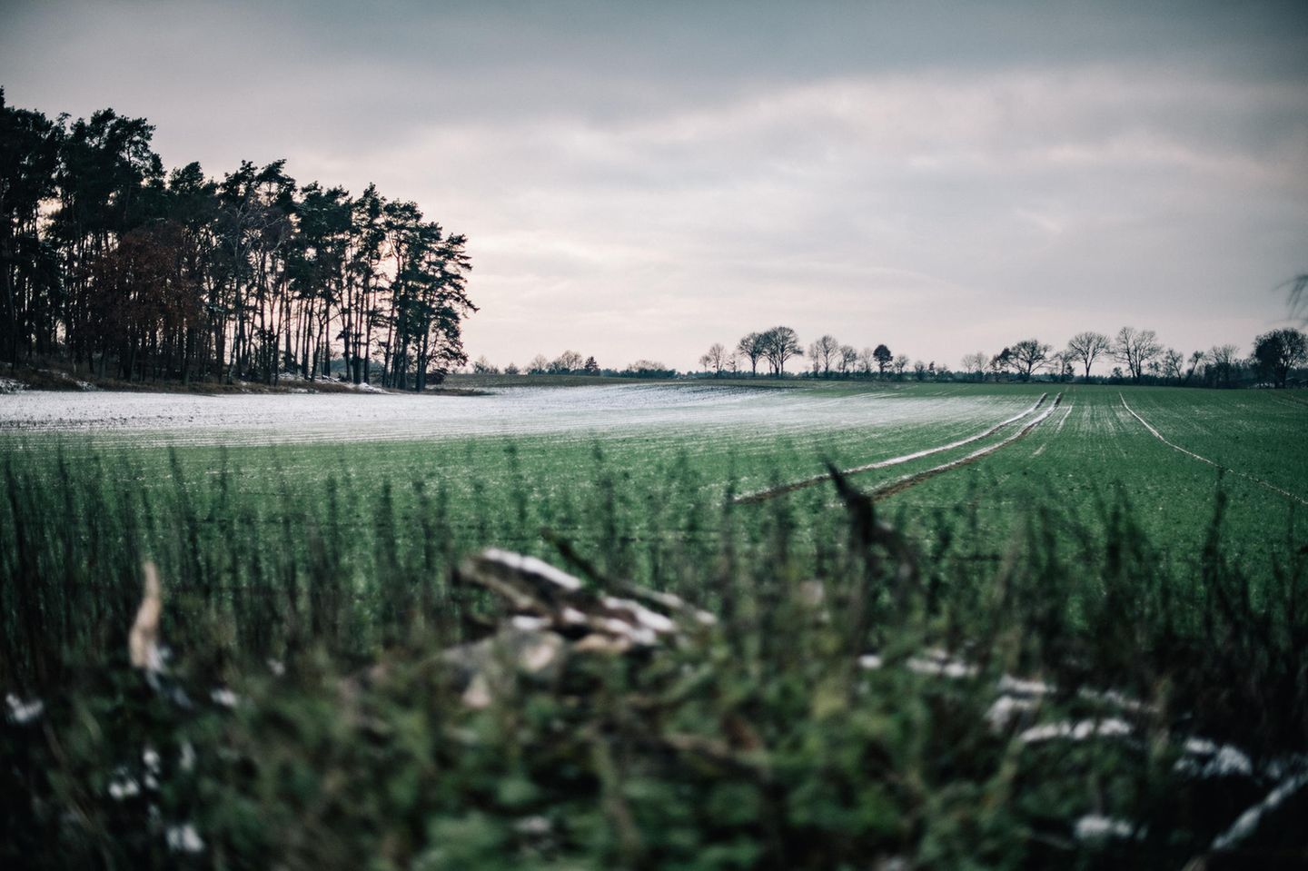 Abenteuer: Winterreiten durch Brandenburg - [GEO]