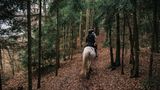 Auf engen Pfaden geht es auf dem Pferderücken durchs Havelland