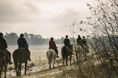 Auf den sandigen Untergründen im Havelland wechseln die Reiterinnen immer wieder das Tempo