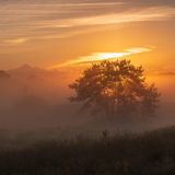 Wanderschleife Radenbachtal