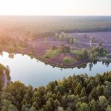 Blick aus der Luft auf dem Angelsbecksteich