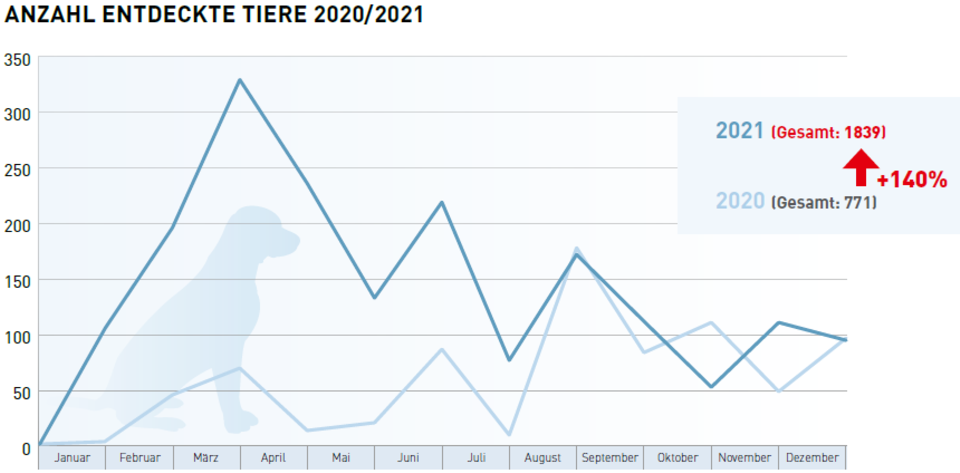 Vergleicht man die Zahl der entdeckten Tiere, die illegal in den Jahren 2020 und 2021 in Deutschland gehandelt wurden, zeigt sich ein Anstieg um 140 Prozent