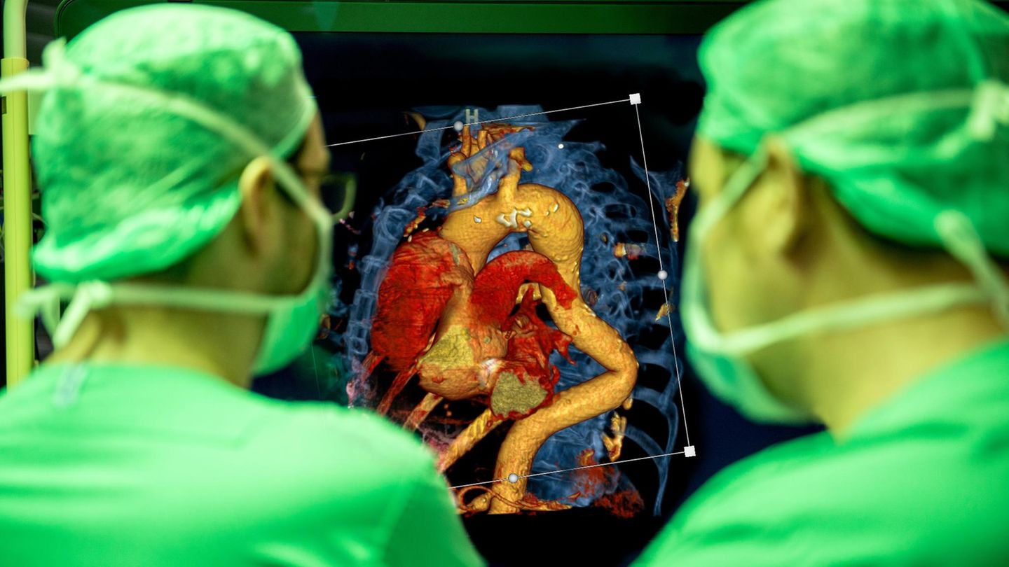 Der durchleuchtete Mensch: Fast alle Patientendaten liegen heute digital vor (CT-Aufnahme eines Herzens mit Gefäßen). Algorithmen können in ihnen nach lebenswichtigen Informationen suchen