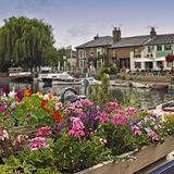 Boot und Blumen an der Great Ouse in Ely