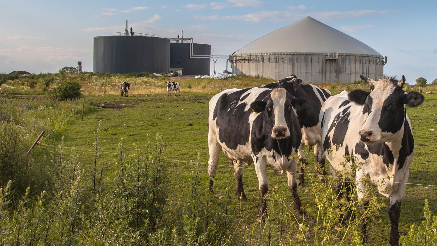 Energiewende: Wie grün ist Biogas wirklich – und wann lohnt sich ein Wechsel? Energiewende: Wie grün ist Biogas wirklich – und wann lohnt sich ein Wechsel?