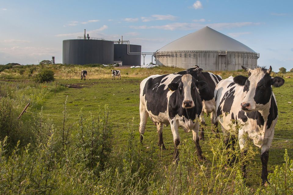 Energiewende: Wie grün ist Biogas wirklich – und wann lohnt sich ein Wechsel?