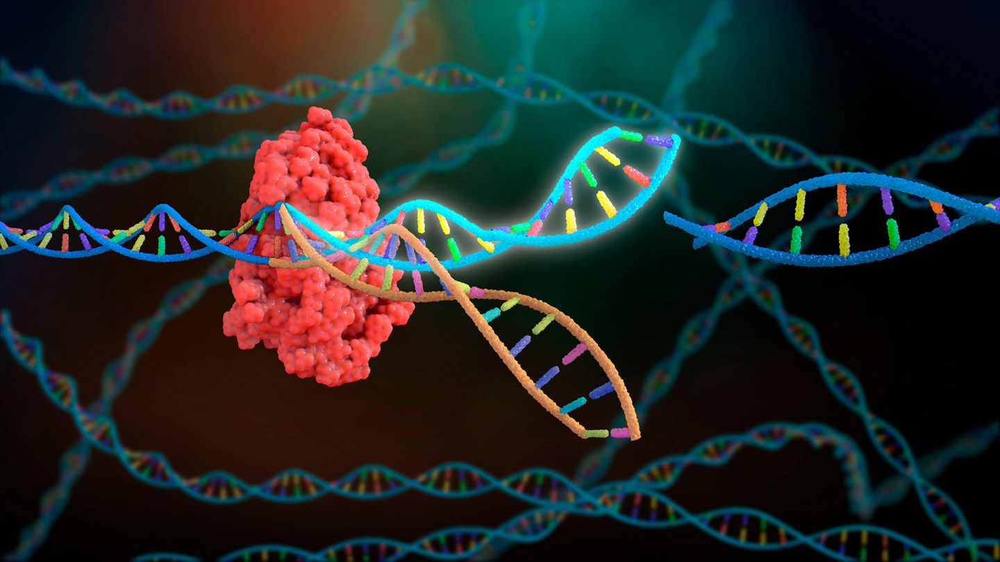 Revolution in der Medizin: Mit der Genschere CRISPR könnten in Zukunft schwere Erbkrankheiten geheilt werden