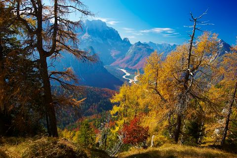 Fichten-, Buchen- und Lärchenmischwald durchziehen das Raccolanatal in den in den julischen Alpen