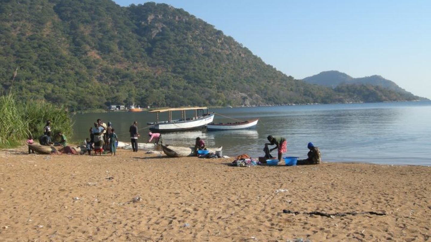 Malawisee