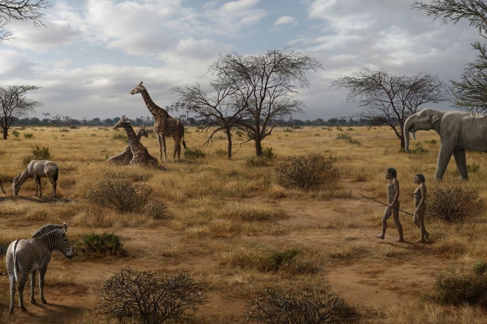 Die Illustration zeigt Homo erectus inmitten der zeitgenössischen Tierwelt in Ostafrika