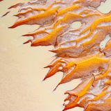 Sandbank Derby in Australien