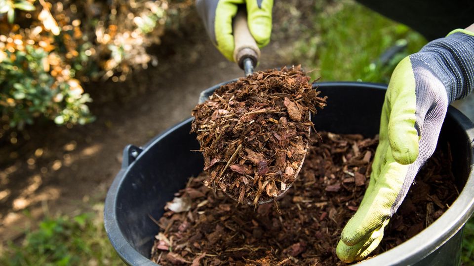 Rindenmulch wird bei der Gartenarbeit verwendet Rindenmulch wird bei der Gartenarbeit verwendet
