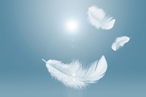 Physik im Alltag: Warum fällt ein Stein schneller als eine Feder?