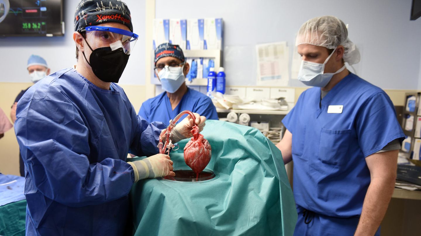 Transplantation