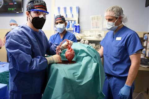 Transplantation