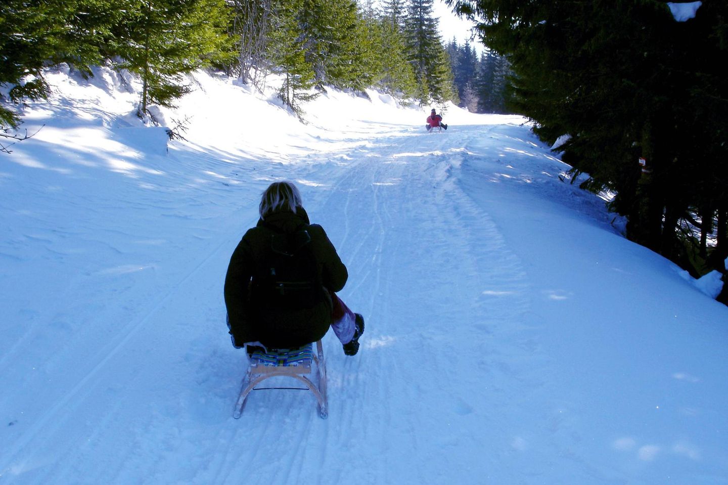 Rodeln in der Steiermark