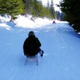 Rodeln in der Steiermark