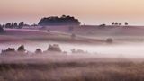 New Forest in Hampshire und Wiltshire