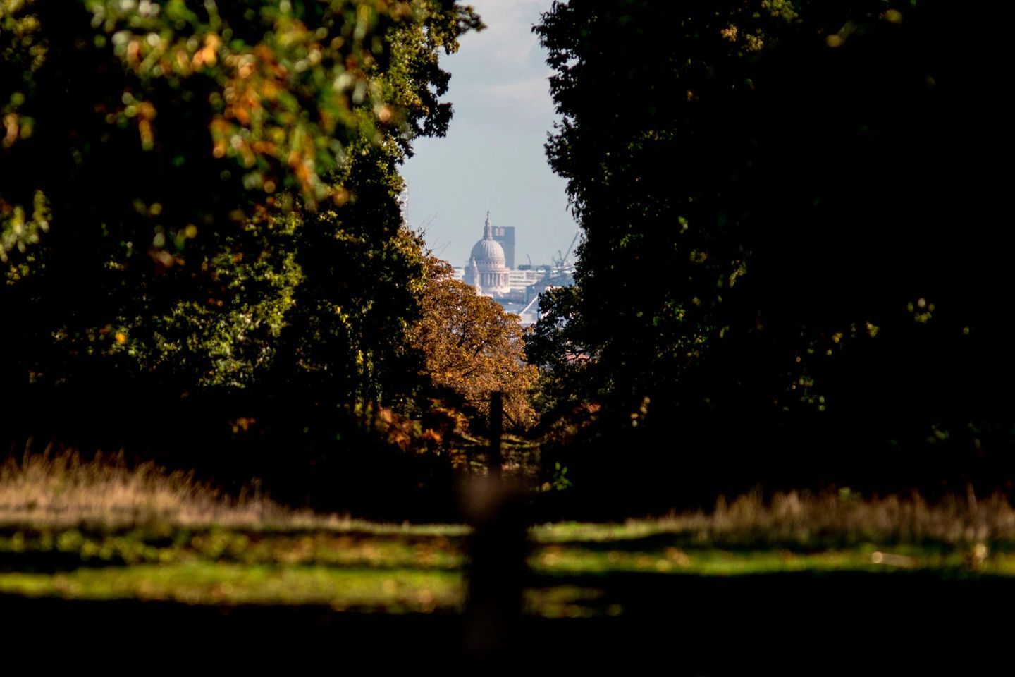 King Henry’s Mound in Richmond King Henry’s Mound in Richmond