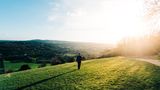 Box Hill in Surrey