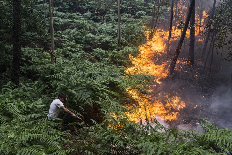 Rund 50 Kilometer südlich von Coimbra, Portugal, versucht ein Mann im Jahr 2017 am Rand eines Megawaldbrands Flammen einzudämmen. Eine große Frage der Wissenschaft aber lautet: Ist es sinnvoll, jegliches Züngelnzu eliminieren?