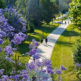Wundervolle Grünflächen