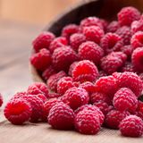 Reife Himbeeren kullern aus einer Schüssel